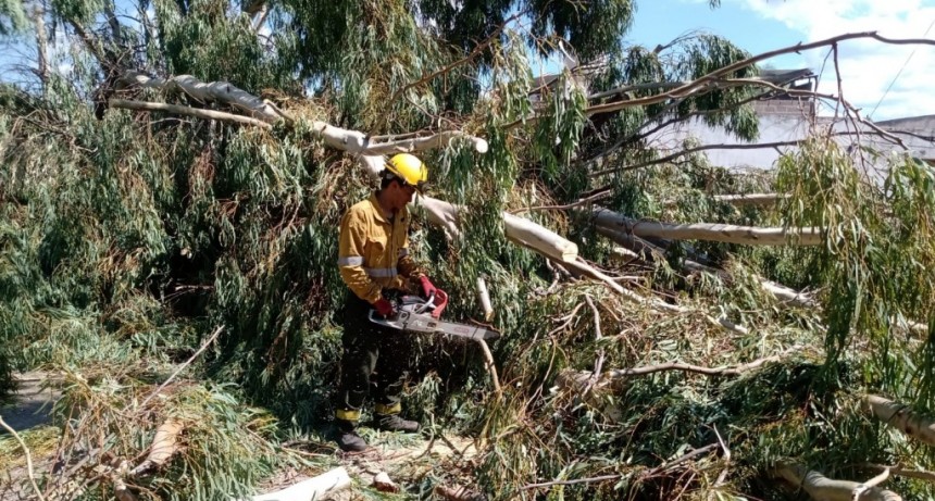 El Comité Operativo de Emergencia está trabajando desde que ayer, pasadas las 21 horas inició la tormenta lo continúa el día de hoy.