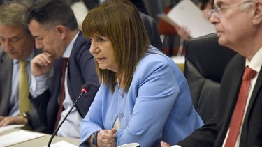 La ONU calificó como ilegal al protocolo antipiquete y cargó contra Patricia Bullrich. 