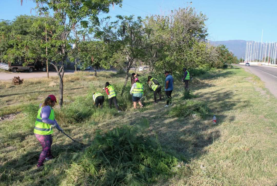 El Municipio Capital avanzó con las tareas de limpieza en la Av. Felix de la Colina.