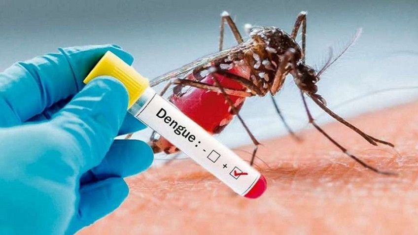 El COE confirma el octavo caso de dengue en Capital.