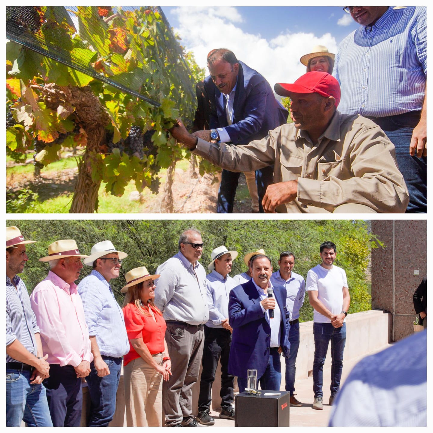 Apoyando a grandes y pequeños productores. Quintela visitó Chañarmuyo y destacó sus bondades para la vitivinicultura.
