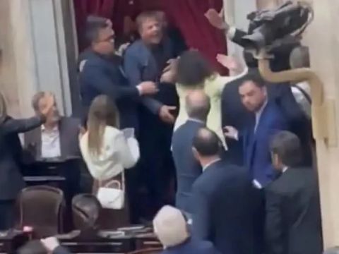 Escándalo: piñas entre Diputados y bronca con Menem por facultades delegadas a Milei.