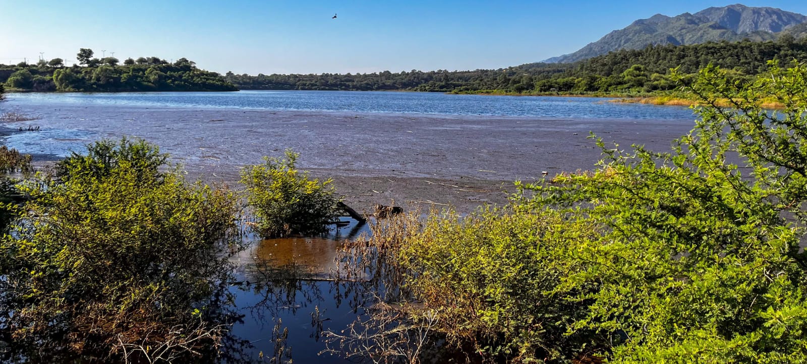 Chamical. El dique La Aguadita ya supera su cota máxima y el agua sale por el vertedero  
