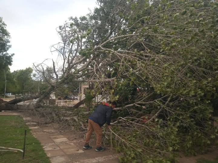 Las fuertes lluvias causaron daños materiales en los departamentos General Belgrano y General Ángel Vicente Peñaloza. 