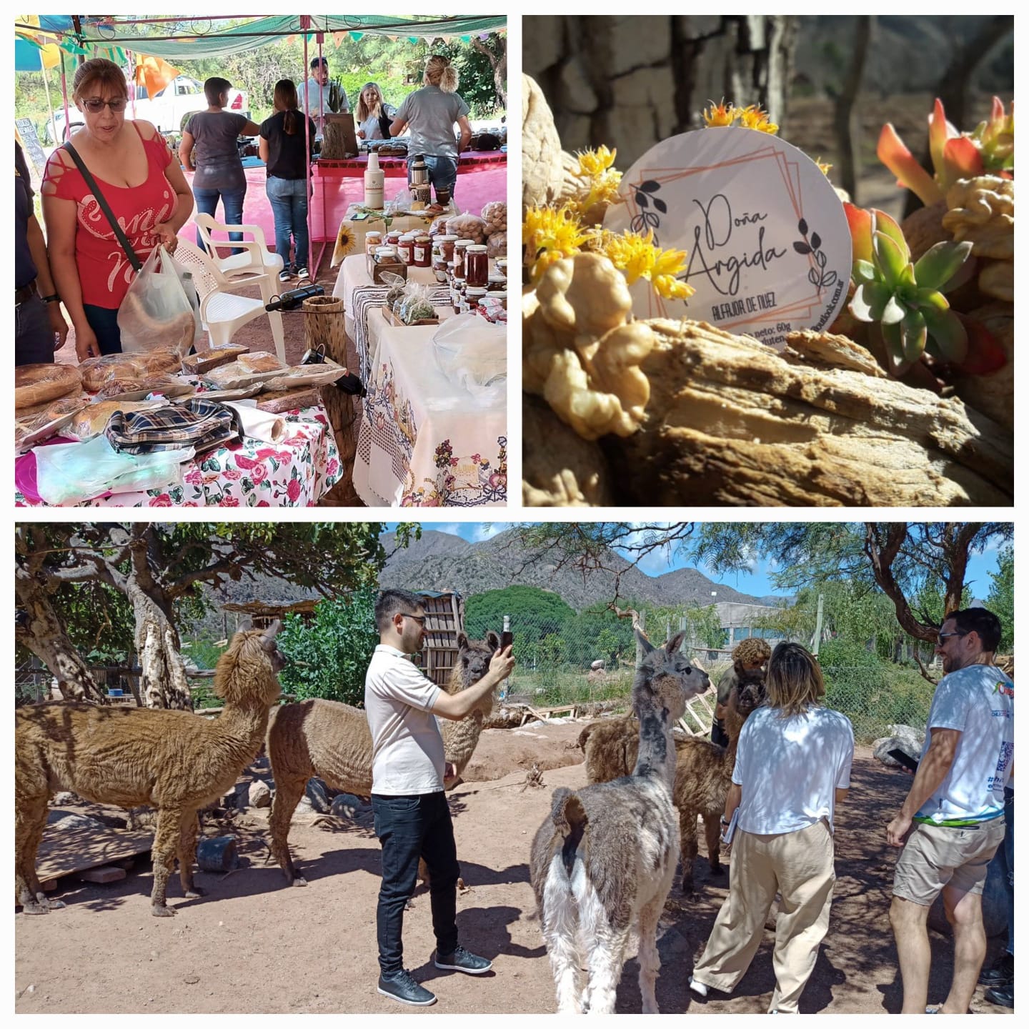 Semana Santa. Turismo Rural Un inolvidable paseo chileciteño por Guanchín, Sañogasta y Miranda 