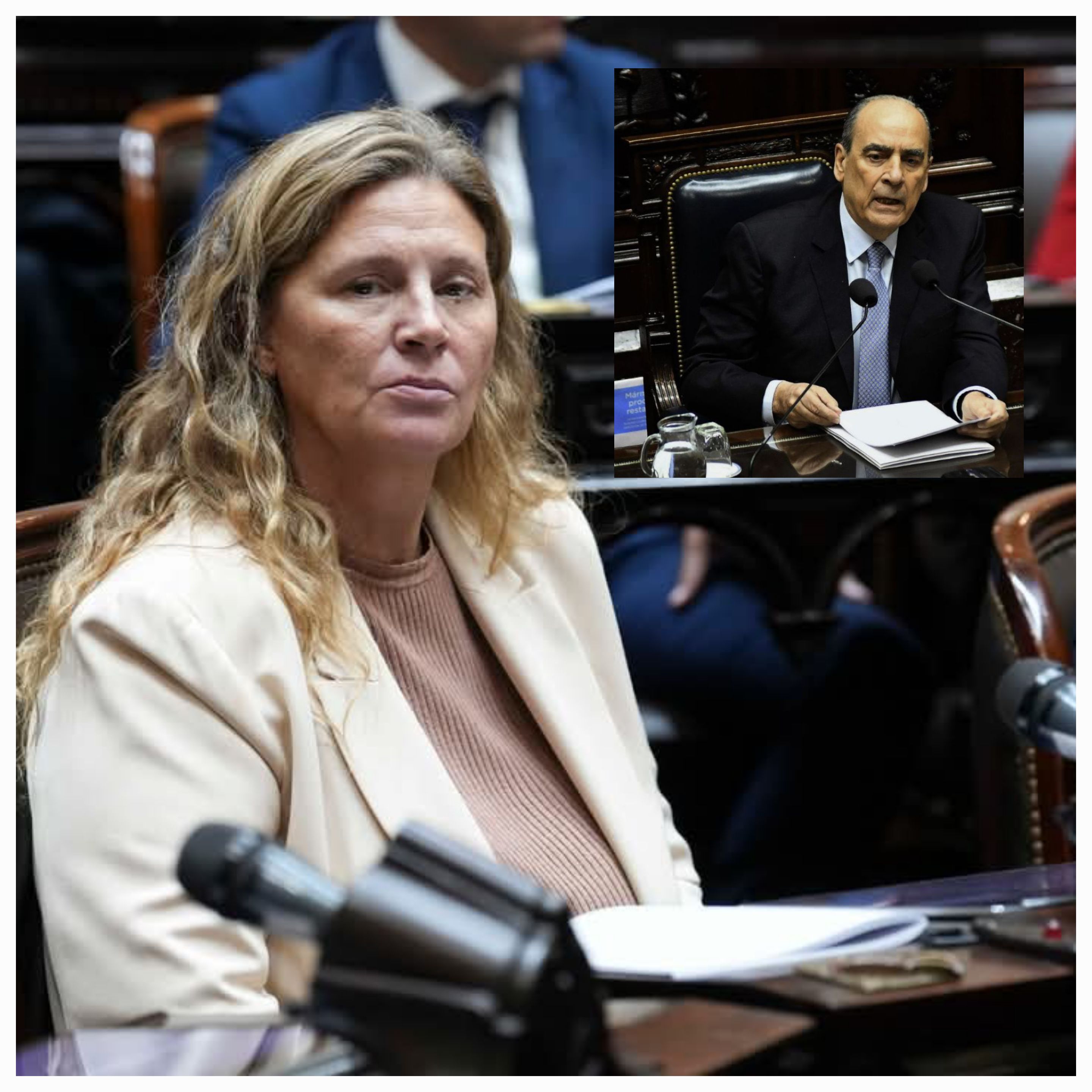 Gabriela Pedrali: 