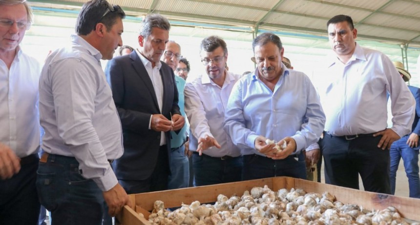 Llega la primera exportación de ajos riojanos a Brasil