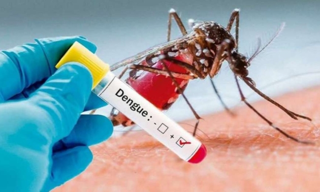 Reportaron 7 nuevos casos de dengue en La Rioja