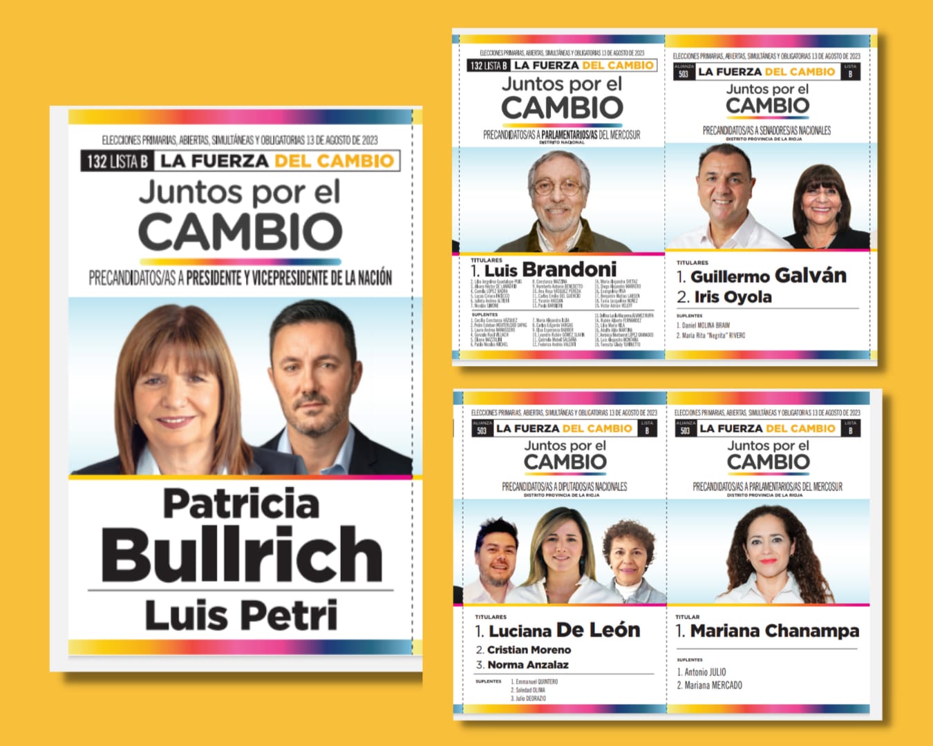 Oficializaron el voto de Patricia Bullrich en La Rioja