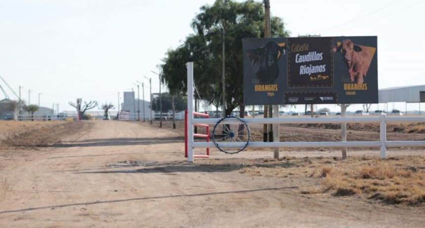 Caudillos Riojanos: la nueva apuesta del Gobierno Provincial para potenciar la ganadería local