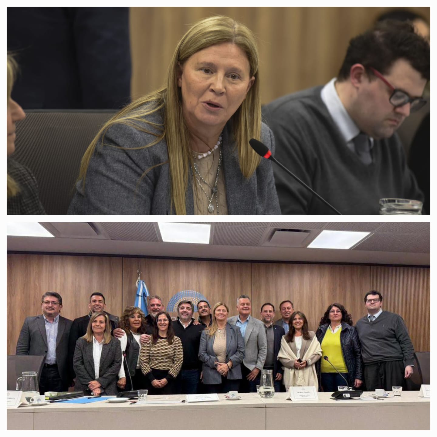 Gabriela Pedrali reunió a referentes del turismo en Diputados para abordar la crítica situación del sector.