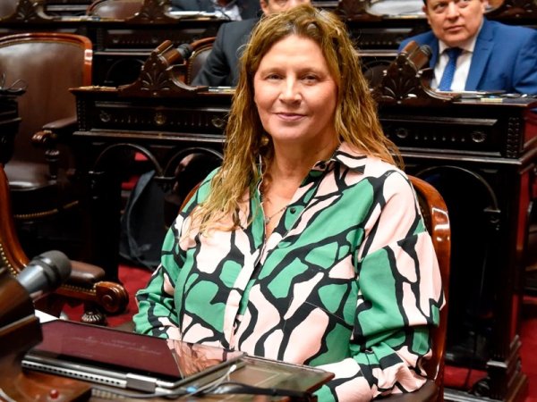 Gabriela Pedrali rechaz&oacute; el proyecto sobre tierras: 
