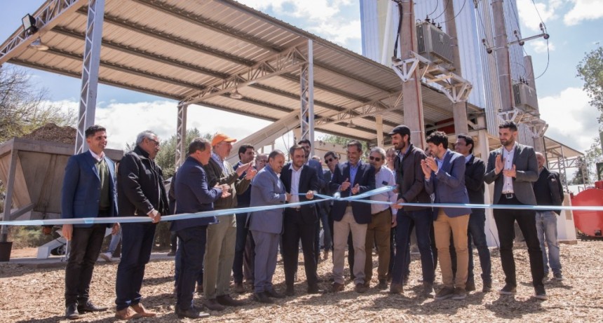 El gobernador Ricardo Quintela inauguró la primera planta de pellets de olivo de Argentina