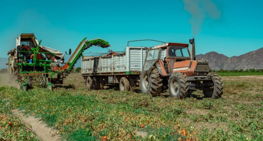 Hortícola Riojana cumple 11 años en la producción agrícola para la industria
