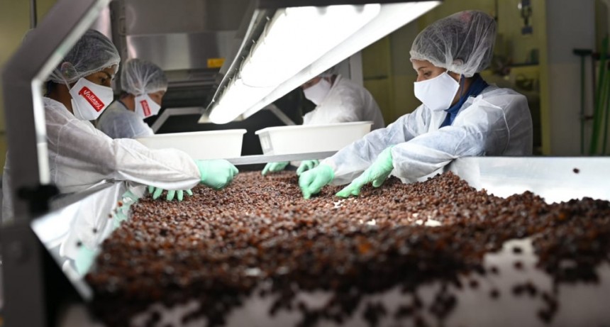 Vallesol: 9 años elaborando un producto riojano que se consume a nivel internacional