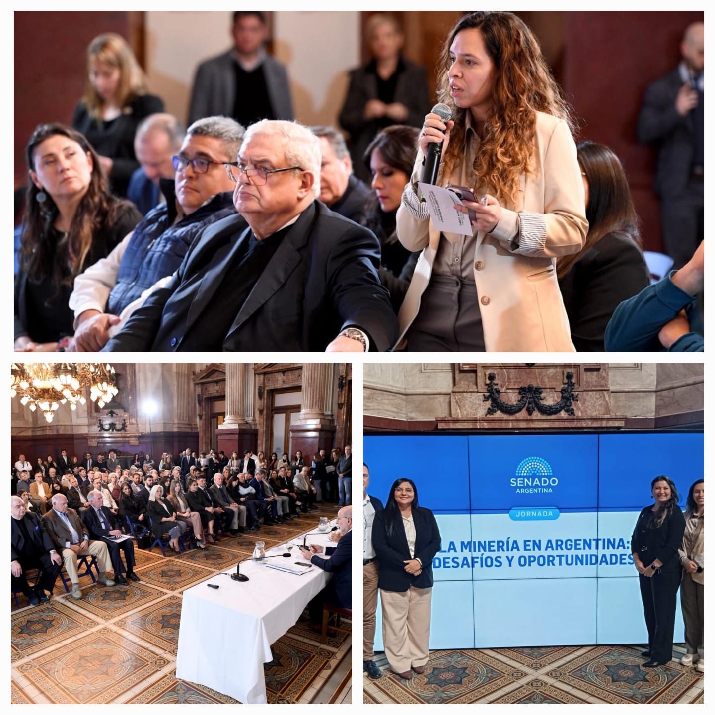 La Provincia reclamó protagonismo en el debate minero nacional y cuestionó el centralismo en las decisiones