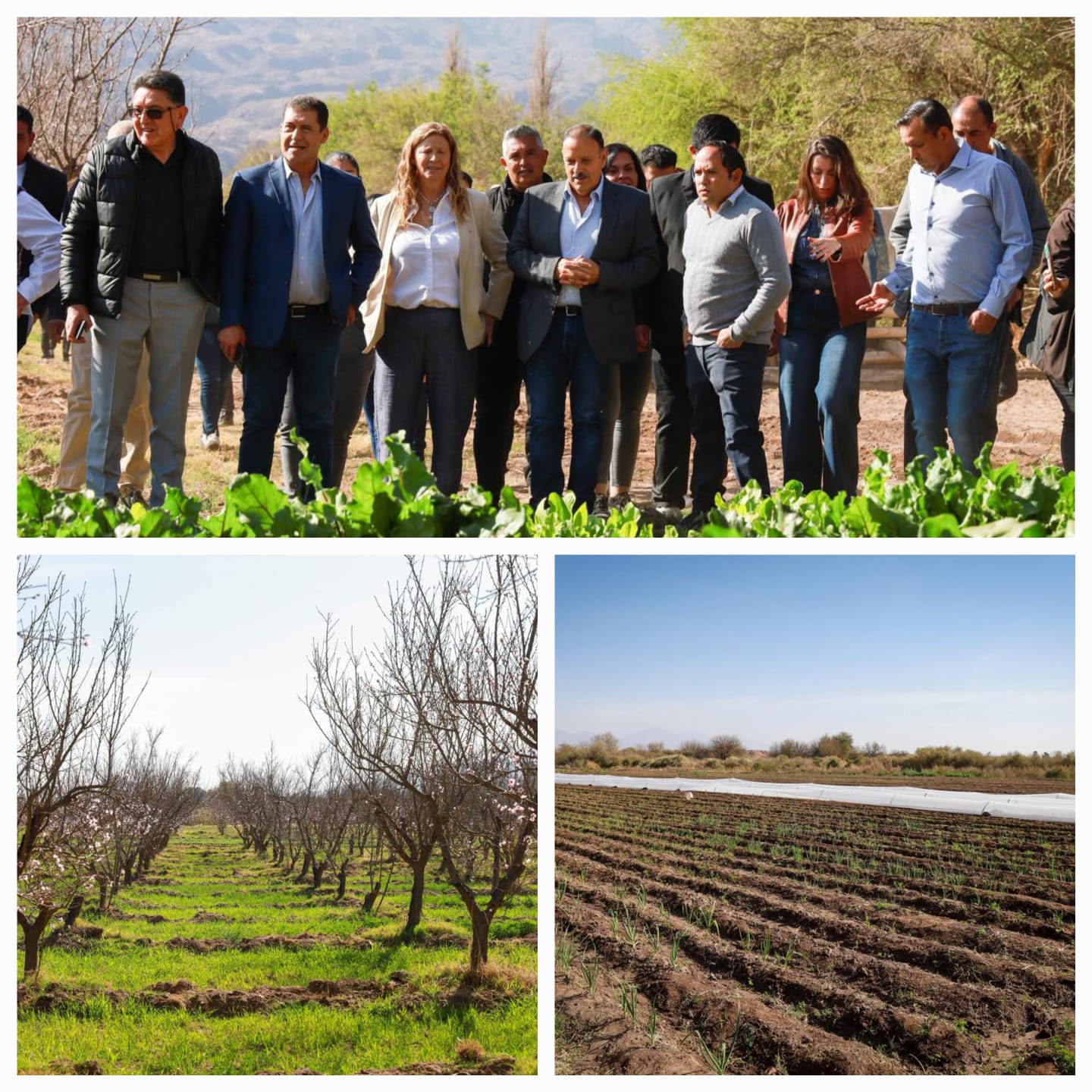 Quintela visitó la Finca Municipal que abastece a los comedores escolares y ya trabaja sobre producción de ajo, comino y verduras