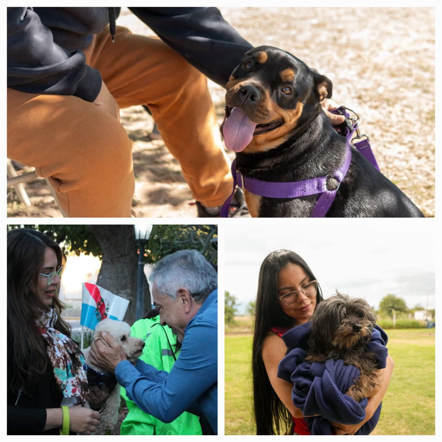 El Municipio Capital brinda servicio gratuito de vacunación y desparasitacion gratuita de perros y gatos.