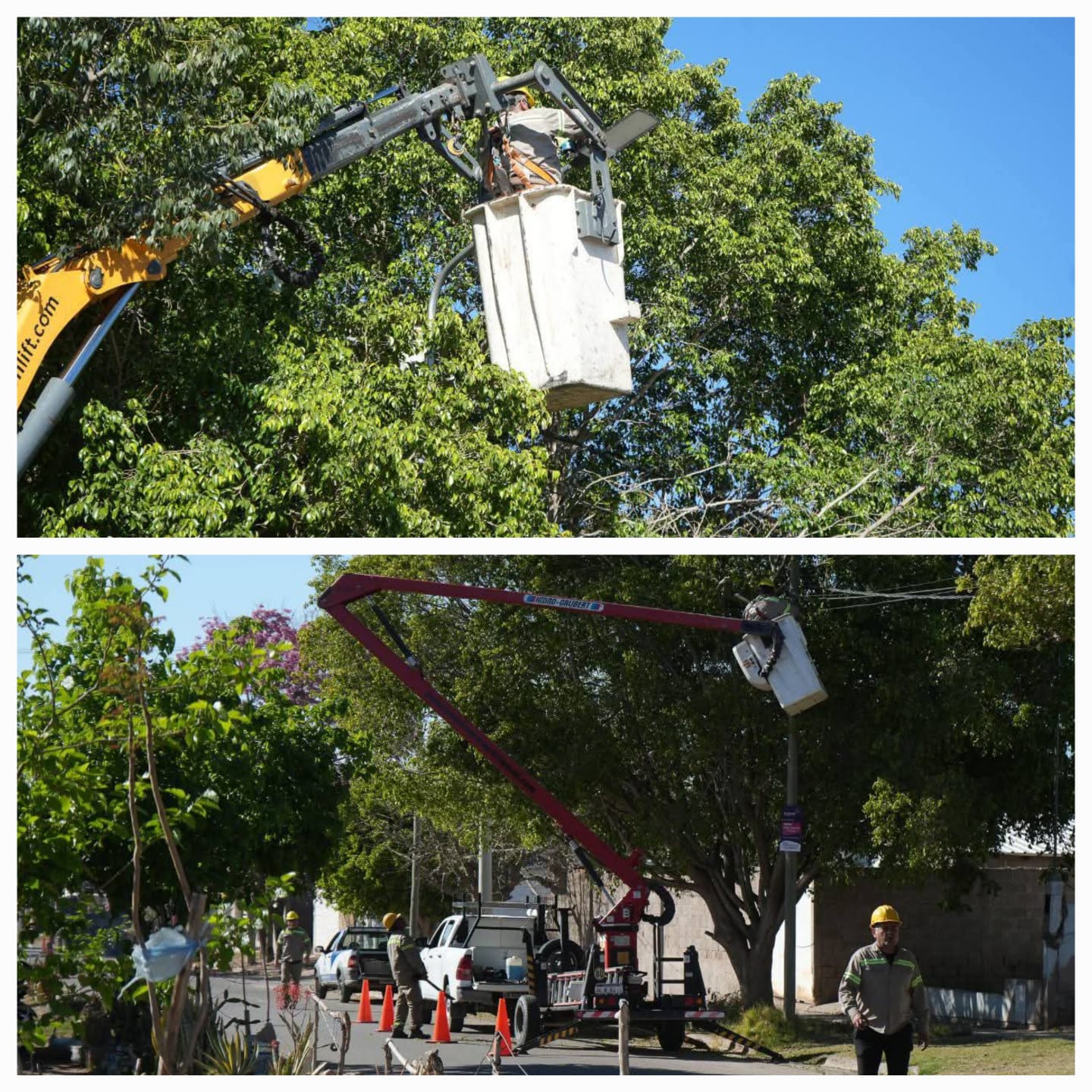 Renovación de luminarias: El Municipio y EDELaR amplían las tareas en la zona sur de la Capital. 