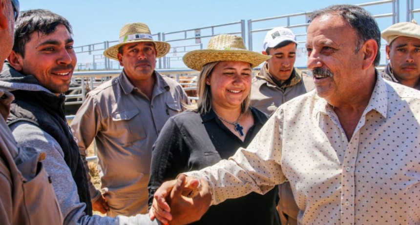 Más de  170 reproductores bovinos a la venta y facilidades crediticias para que productores puedan comprarlos