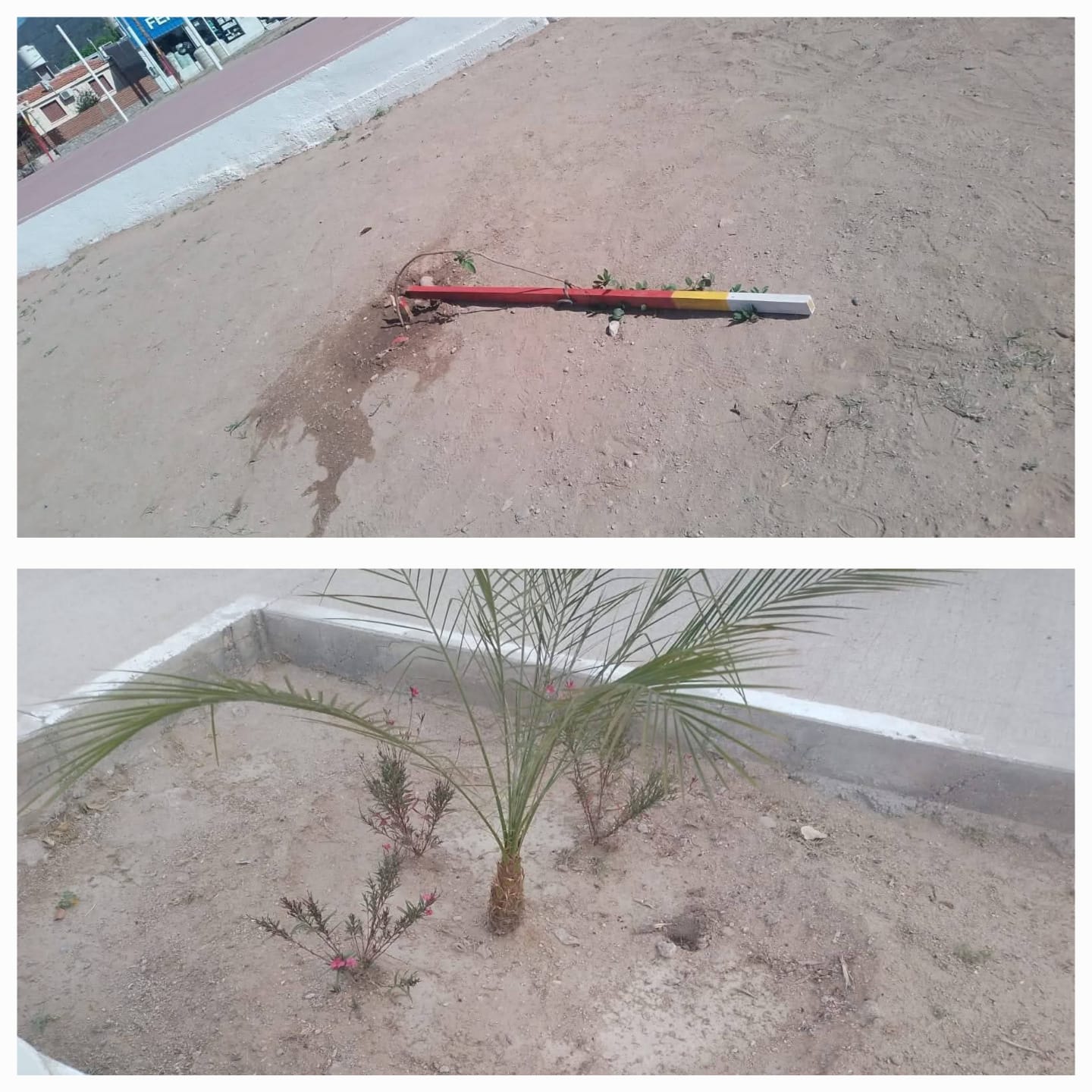 La plaza del B° Municipal sufrió vandalismo. Rompieron el alumbrado y robaron plantas.