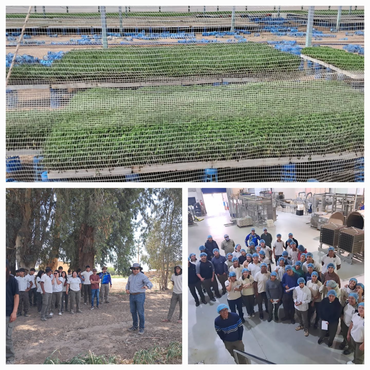 La Provincia fortalece la formación laboral juvenil con visitas a empresas estatales en Chilecito