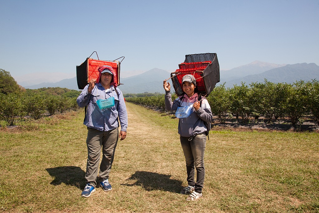 El RENATRE aumenta la Prestación por Desempleo a $330.000 a partir del 1° de noviembre