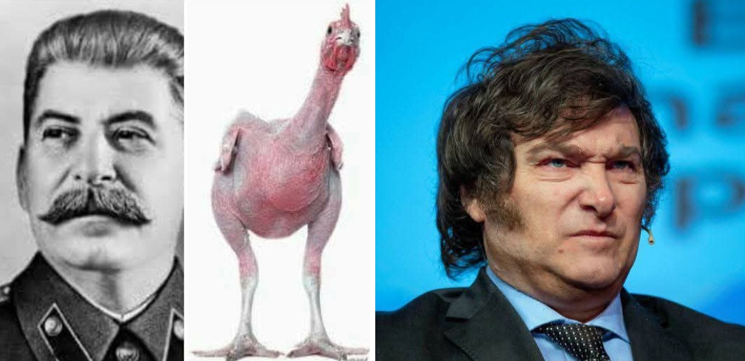 Stalin, Milei y la Gallina desplumada. Artículo de opinion