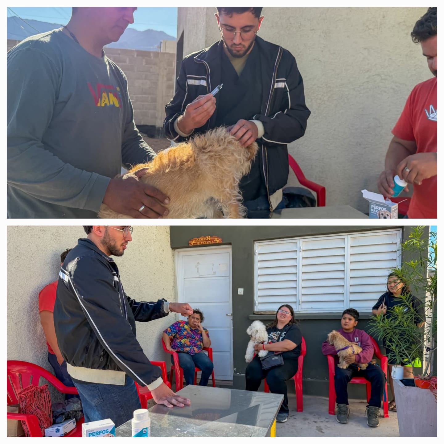 ​Bienestar Animal. El Municipio Capital superó las 8 mil castraciones gratuitas.