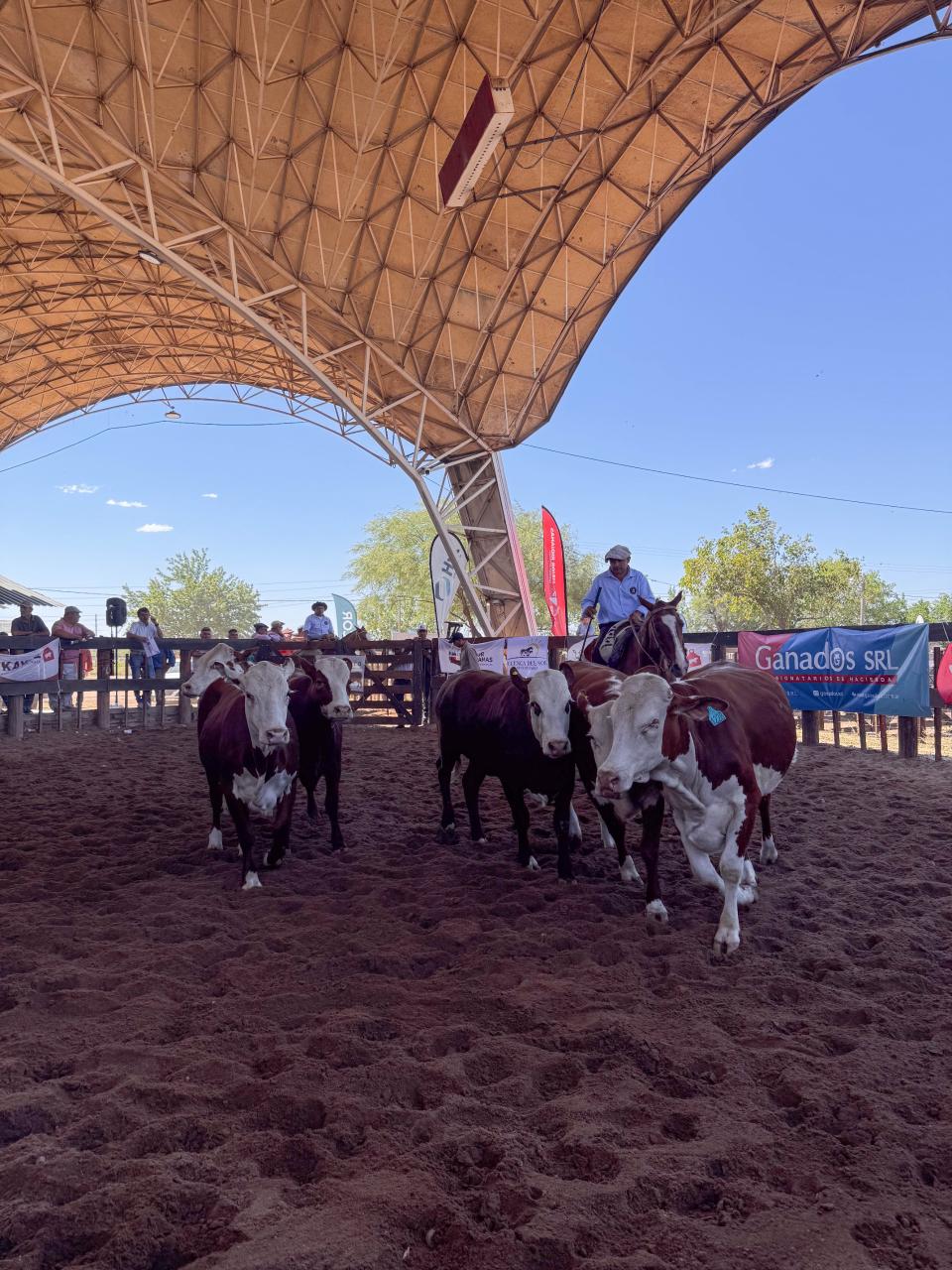 El 4to Remate de Cabañas amplió su alcance regional y reafirmó su apuesta al crecimiento de la ganadería riojana
