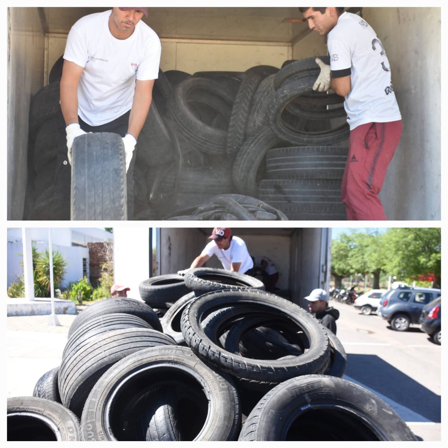 Tercera Edición del Neumatón: El Municipio refuerza la lucha contra el dengue y el cuidado ambiental 